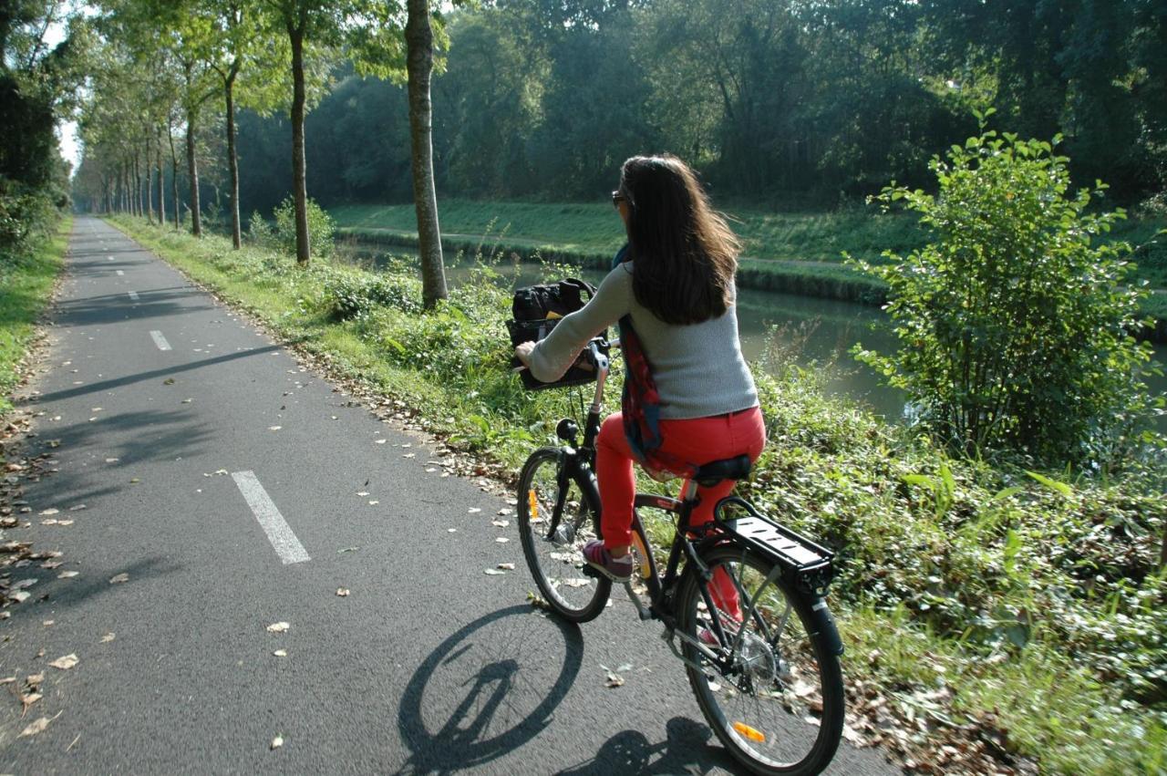 Gite bord de Marne Paris Bry-sur-Marne Eksteriør bilde